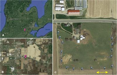 Phenological Patterns and Seasonal Segregation of Coprophilous Beetles (Coleoptera: Scarabaeoidea and Hydrophilidae) on a Cattle Farm in SE-Michigan, United States Throughout the Year